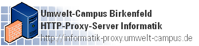 HTTP-Proxy-Server Informatik